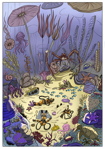 Illustration à partir d’un extrait de « vingt mille lieux sous la mer » de Jules Verne.